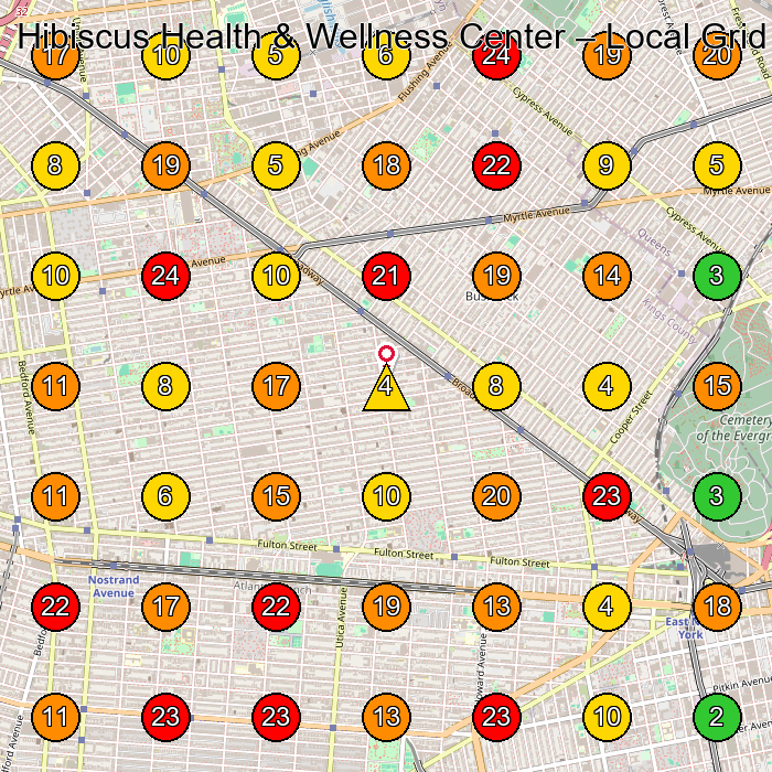 Hibiscus Health & Wellness Center Wellness Center GeoGrid ranking map for Brooklyn NY